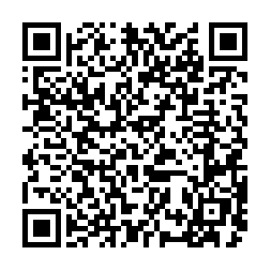 可绿色和平组织的一艘船极地曙光号却加入了阻止日新丸号捕鲸的行动中二维码生成