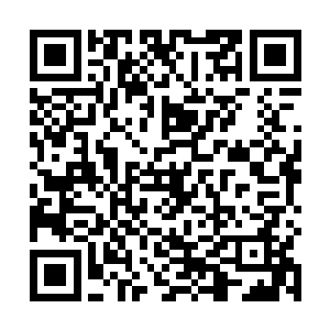 可考察人员带回来的对于梦幻海洋馆的评价只有四个字二维码生成