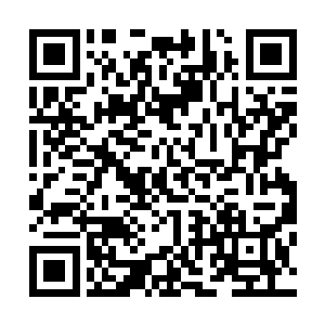 可能他自己也没有想到在反夜的时候还有这么多的僵尸存在二维码生成