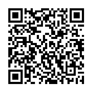 可能光是看见山坡上突然出现这么几条蚂蚁大的身影二维码生成