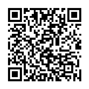 可能只有他才明白一个庞大的走私集团伙拥有多大的能量二维码生成