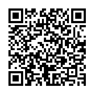 可能只有咀嚼口香糖才能够挽救老爵爷本就不健康的心脏了……二维码生成