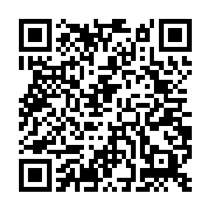 可能因为拦截阵法过于强势很容易被人感知的缘故二维码生成