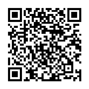 可能围堵汪南的重仙觉得我这五重仙就算打败了岳书一二维码生成