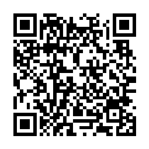 可能在她意识里还没有那种叱咤风云生活的概念吧二维码生成