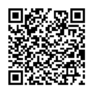可能在我们这一辈之后就再也没有正统的苗蛊传人二维码生成