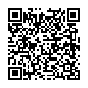 可能对唐晓柔他们也会有影响……所以你自己选了二维码生成