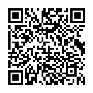 可能就是哪个想为学校筹标本搞疯了的东西给弄出来的二维码生成