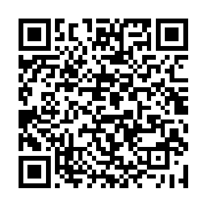 可能就是因为点它们无视了灰团子在空中发出的警告二维码生成