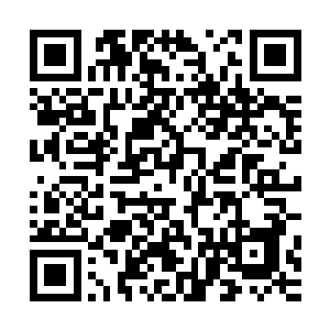 可能是以人为食的东西对人的了解也许会比人自已更多的原因二维码生成