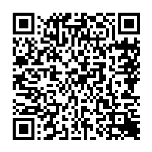 可能是借助信风回环的力量越过重洋来到这里……不过也不排除是水手们带过来二维码生成