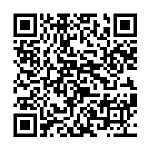 可能是历史上的那个家伙……我们都看到了那个家伙二维码生成