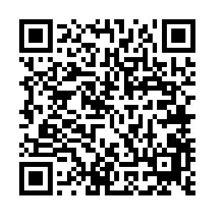 可能是对那战场上飘荡的浓烈血腥味和硝烟味感到有些迷惑二维码生成