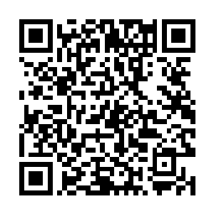 可能最期望的是听到自己爱的人可以为了自己去付出二维码生成