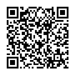 可能杜英杰还没死……石青锋自己都已经受伤过重二维码生成