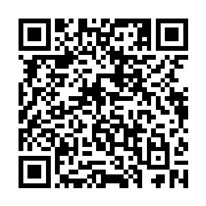 可能比他几千年前生活在黑暗蒙昧时代村落里的祖先二维码生成