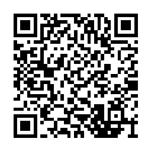 可能没那么严重……苏落默默的在心理安慰自己二维码生成