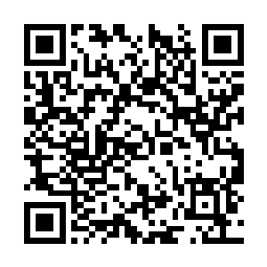 可能维持不到那个时候……等到杜天恒先扛不住了二维码生成