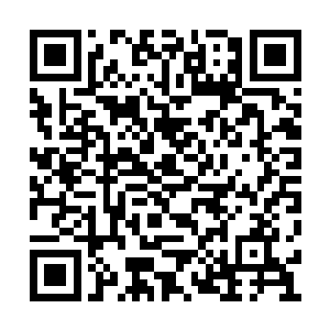 可能自己根本就不可能融入这个神秘的组织里来二维码生成