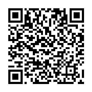 可自从上次说不吃瓜果蔬菜容易得坏血病他也就吃上了二维码生成