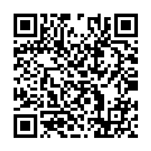 可自始至终他的心中都对一个人非常的畏惧和胆怯二维码生成