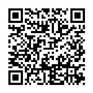 可自己打一开始喜欢的就是在闹事里看人来人往二维码生成