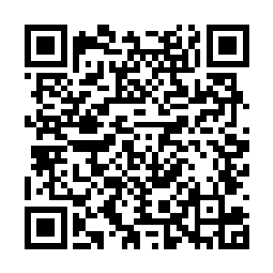可自己身边还有青鸟与一批隐蔽于暗处的北凉死士二维码生成