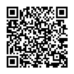 可花了这么大代价炼制出的玲珑宝塔也仅仅是一件五品法宝而已二维码生成
