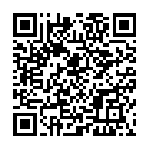 可苔痕上阶绿的雕刻小井和花花草草都让方灵颖喜欢得要命二维码生成