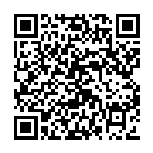 可若是魔域那边能随随便便派遣其他的魔圣过来二维码生成