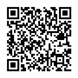 可若真做了这等叫他发自内心认为猪狗不如的事情二维码生成