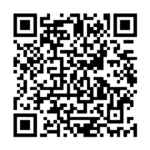 可裹着毯子起身的昭南晃到巴克这边突然调皮的展开毯子二维码生成