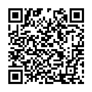 可见其中势力已经不是他们这些小辈能够染指的了二维码生成