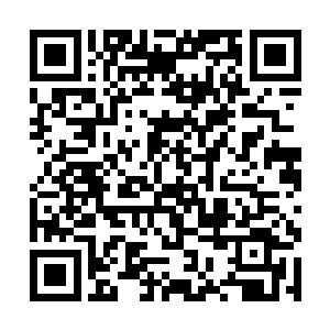 可见到看起也就只比江一妍大一点的华姐从舞台下来二维码生成