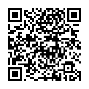 可见少年的演奏技巧已经达到了让旁人难以企及的高度二维码生成