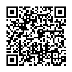 可见短时间内自己很难再获得大陆这样的大肥肉二维码生成