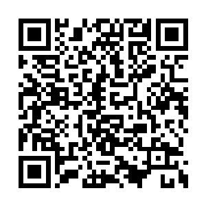 可见自己手上拿着一份好的考核成绩就是吃香啊二维码生成