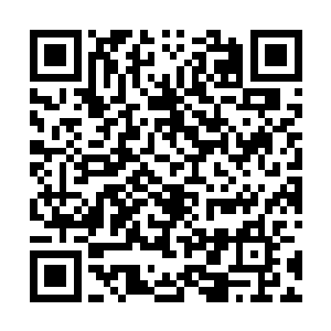可见这一股力量有多么的强大了……噗~~从树干上跌落下来二维码生成