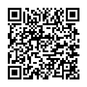 可让他像张潇晗这般嘴里叼着酒碗灌下一大口酒二维码生成