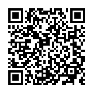 可诬告老子老子一样能到临时督查委员会去告你们诽谤二维码生成