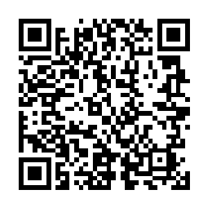 可谁叫他们的下一任宫主继承人辛东荣被那么轻易的击败二维码生成