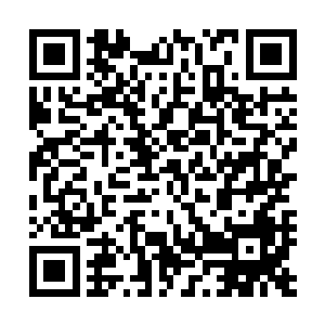 可谓帮了自己一大忙虽然燕三娘自己都觉得她那忙是没用的二维码生成