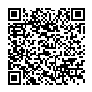 可赤蛇殿和青蛇殿的天仙却全都仿若看到了那来自远古时代的恶魔二维码生成