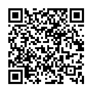 可跟在他身后的王婶和王伯都感觉到这是爆发前的火山二维码生成