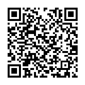 可过了好一会杨洛和李涛他们一直没有再冒出水面二维码生成