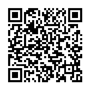 可这一动起手来跟陆夫人完全就不是一个级别的二维码生成