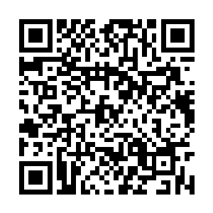 可这一幕落入下方的农长老以及陈世方二人眼中时二维码生成