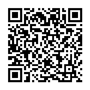 可这个过程为我们留下了至关重要的宝贵线索――羊毛纤维二维码生成