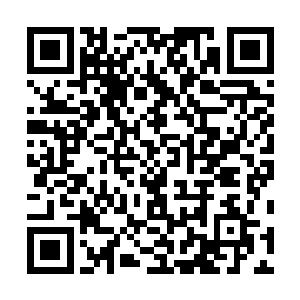 可这些蛇也不可能成群结队的堂而皇之的穿梭马路过来吧二维码生成