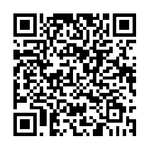 可这会儿张克勇却把目光投到了一旁唐伊诺的身上二维码生成